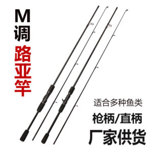 FIASST lightweight Two-Part Fishing Road