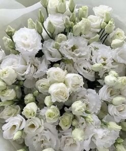 White queen